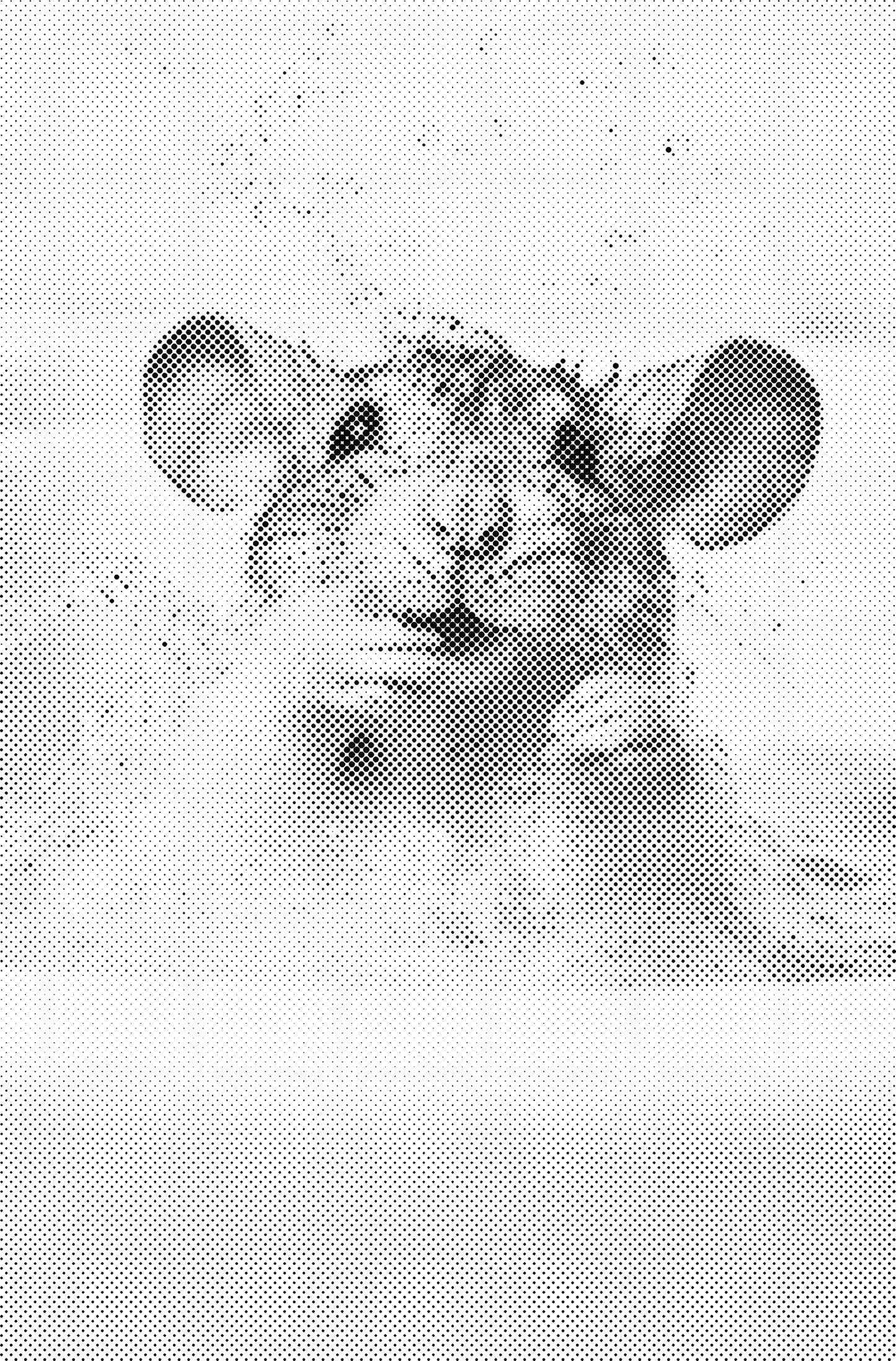 DOT Painting – Dieren in Bad (40x60cm / 50x75cm / 60x90cm)