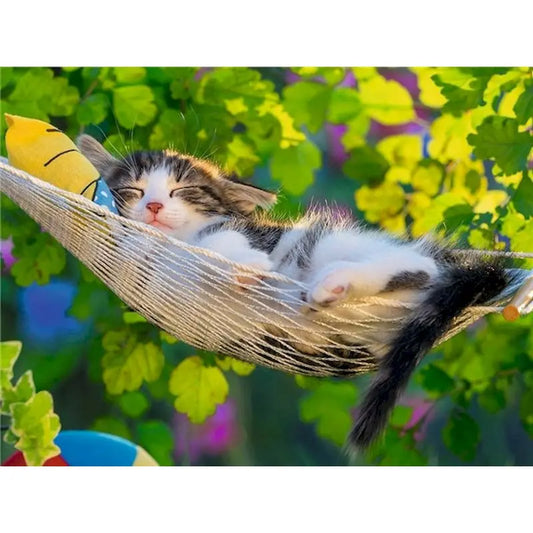 Diamond Painting Dieren - Kat met bloemen landschap wanddecoratie - DZDP32708