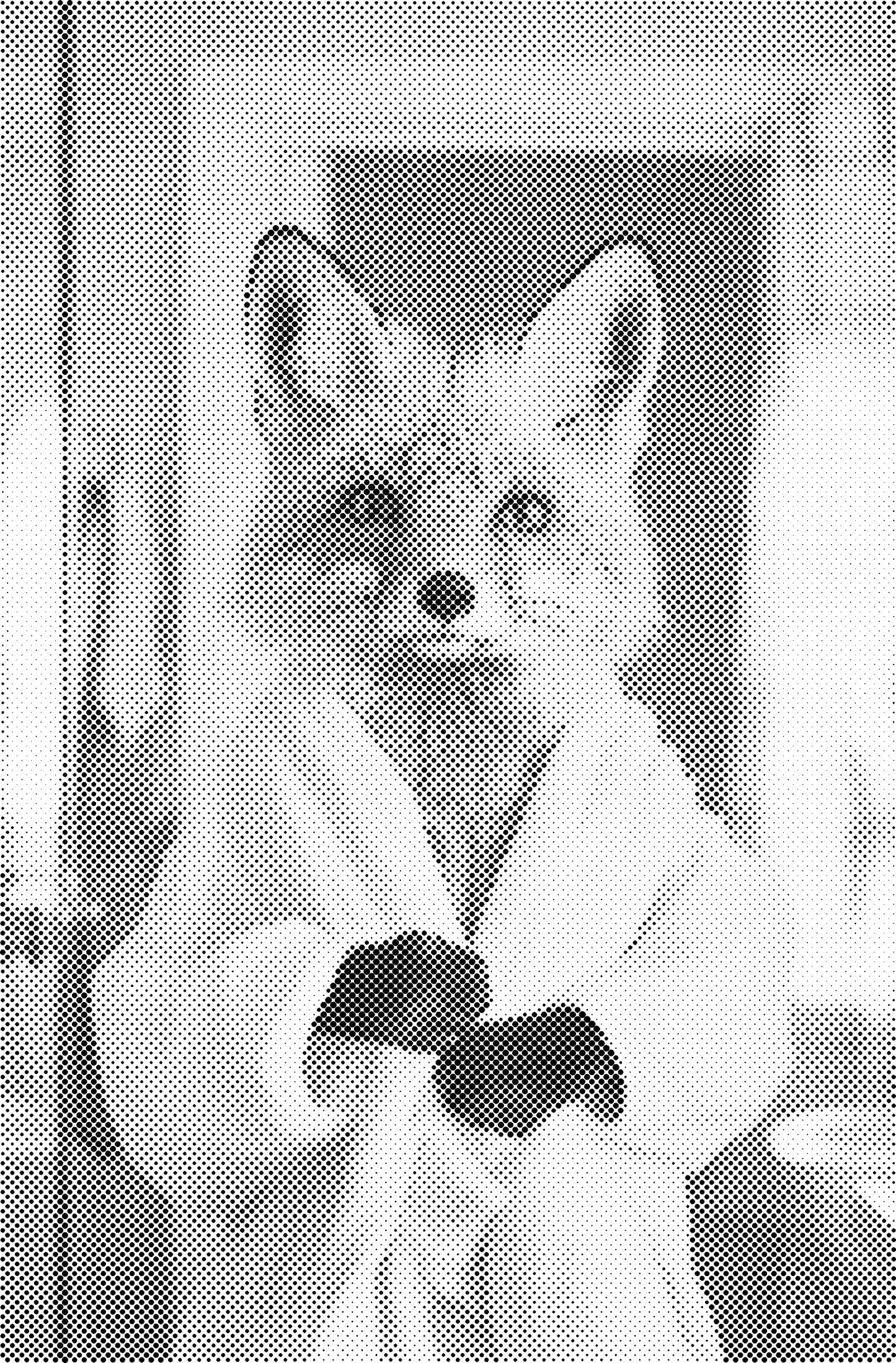 DOT Painting – Dieren in Bad (40x60cm / 50x75cm / 60x90cm)