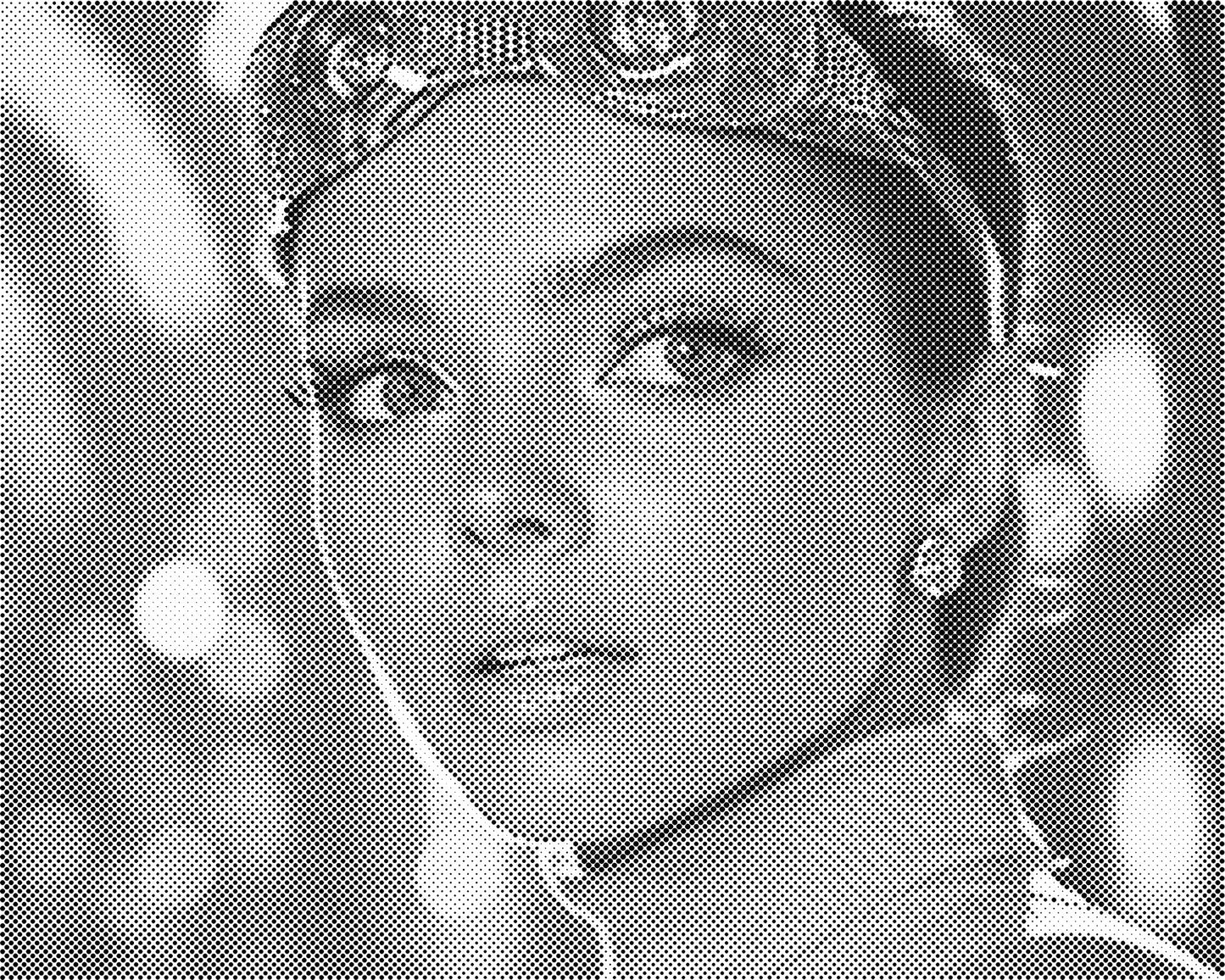 DOT Painting Portret – Stippenkunst op Canvas (40x50cm of 60x75cm)