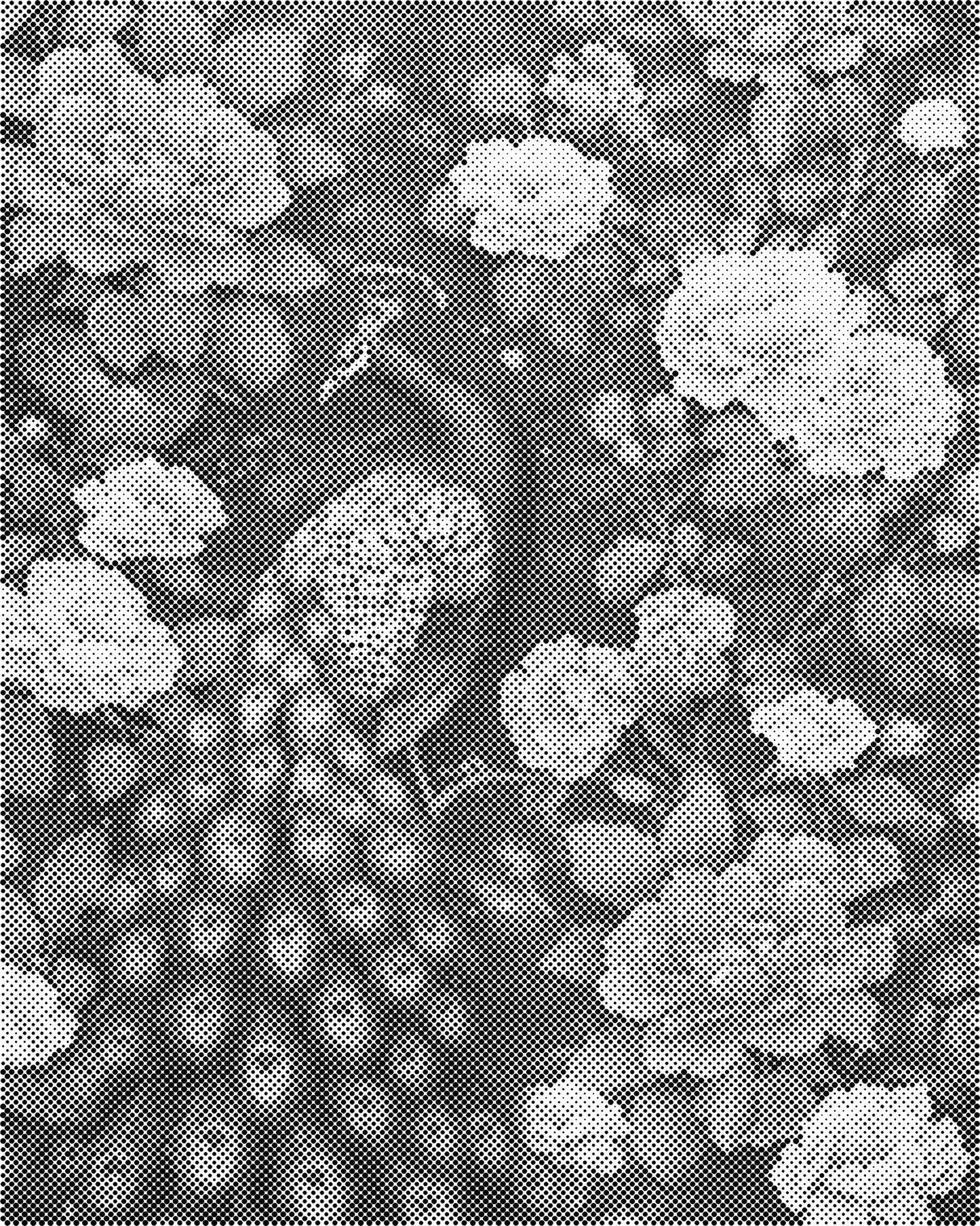 DOT Painting – Dieren op Canvas (40x50cm of 60x75cm) – Met of zonder stiften