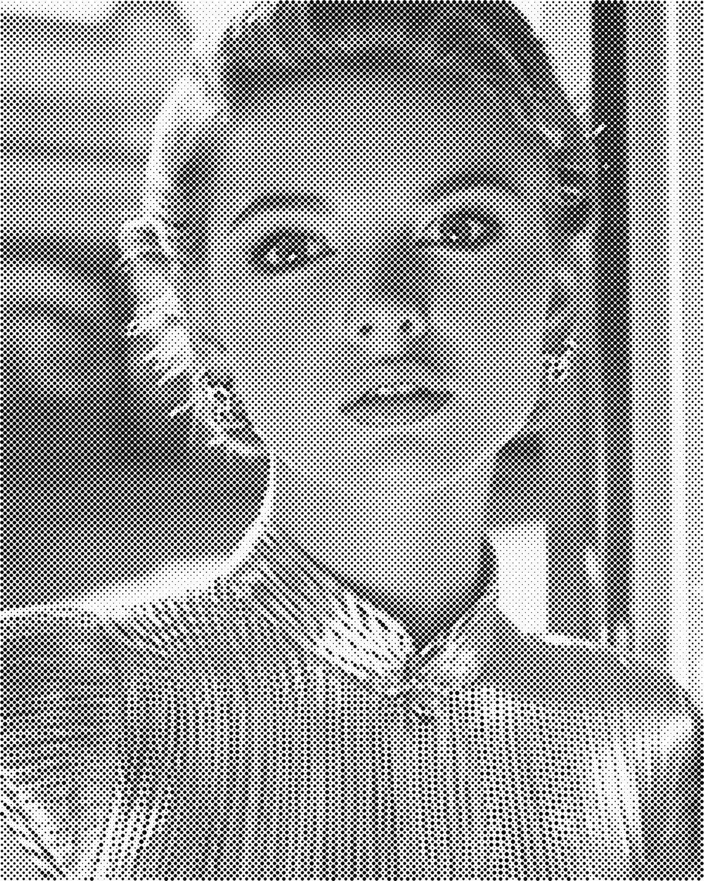 DOT Painting Portret – Stippenkunst op Canvas (40x50cm of 60x75cm)