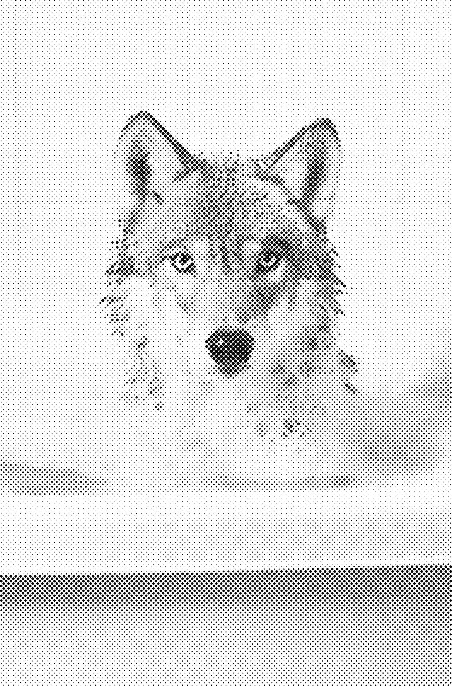 DOT Painting – Dieren in Bad (40x60cm / 50x75cm / 60x90cm)