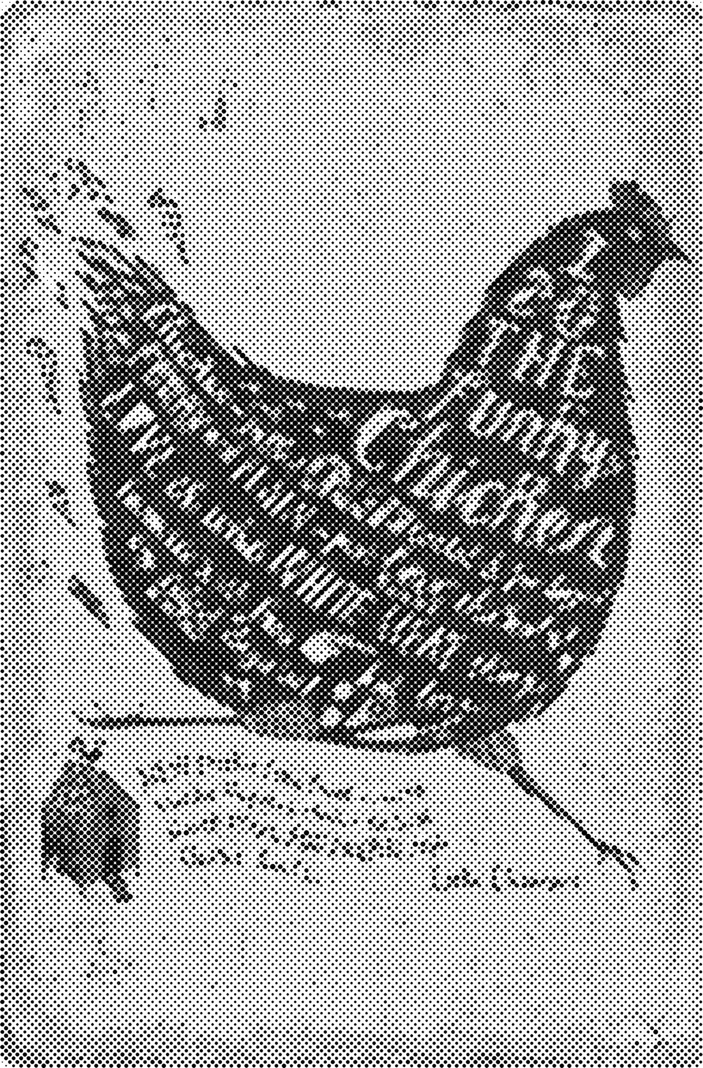 DOT Painting – Kippen & Hanen – 40x60cm t/m 60x90cm – Met of zonder stiften