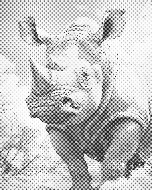 DOT Painting 40x50cm - Dierenmotief - Één Kleur Stippen - stippelschilderij - Neushoorn