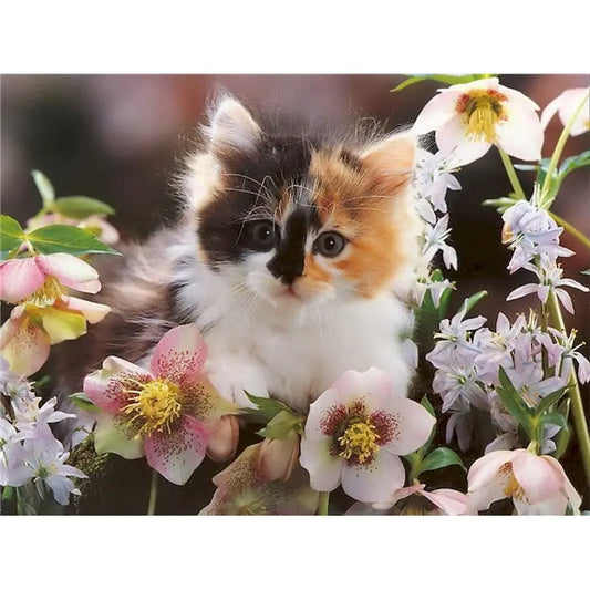 Diamond Painting Dieren - Kat met bloemen landschap wanddecoratie - DZDP32710