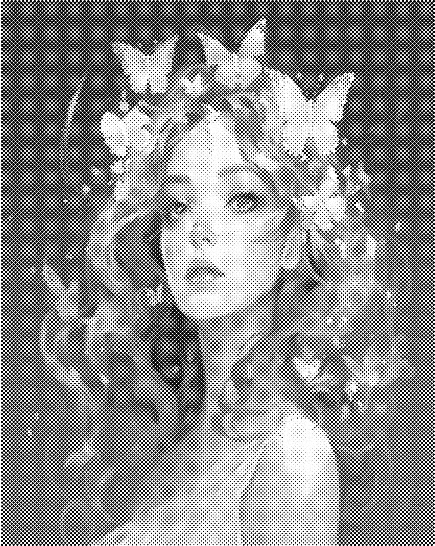 DOT Painting – Vrouwen | 40x50cm of 60x75cm