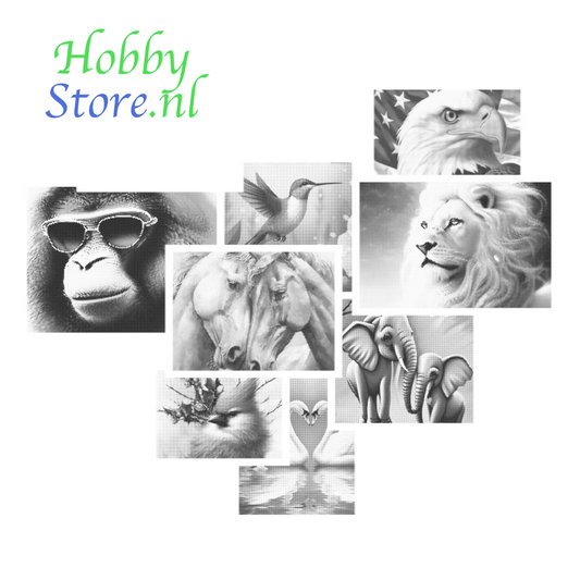 DOT Painting - Dieren op Canvas (40x50cm / 60x75cm)