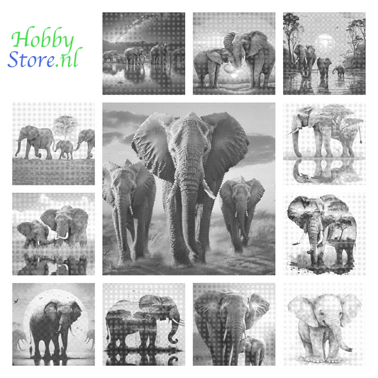 DOT Painting 40x50cm - Olifanten Design