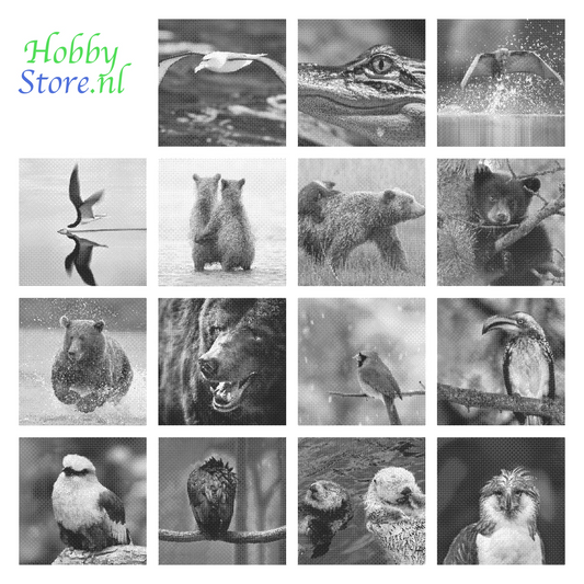 DOT Painting Dieren - Beren en Vogels - Verkrijgbaar in 40x60cm, 50x75cm en 60x90cm