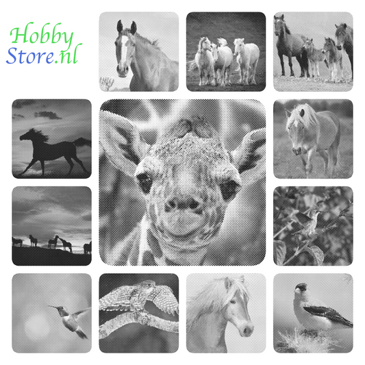 DOT Painting Dieren - (Paarden, Giraf, Vogels) - Verkrijgbaar in 40x60cm, 50x75cm, 60x90cm
